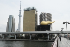 浅草スナップ