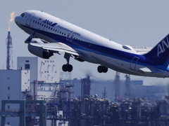 久しぶりの飛行機