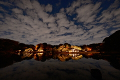 ナイトリフレクション