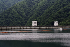 静観