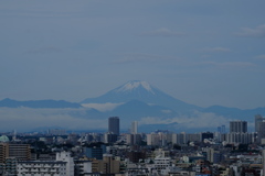今日の空