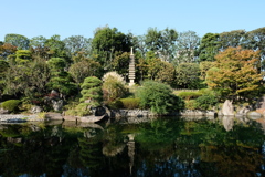 日本庭園①