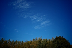 今日の空