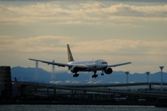 今日の空②
