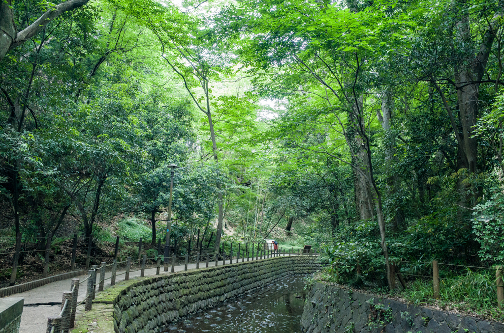 気持ちいい散歩コース