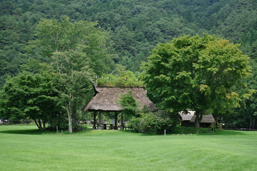 夏景色