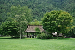 夏景色