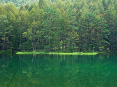 昼間の池