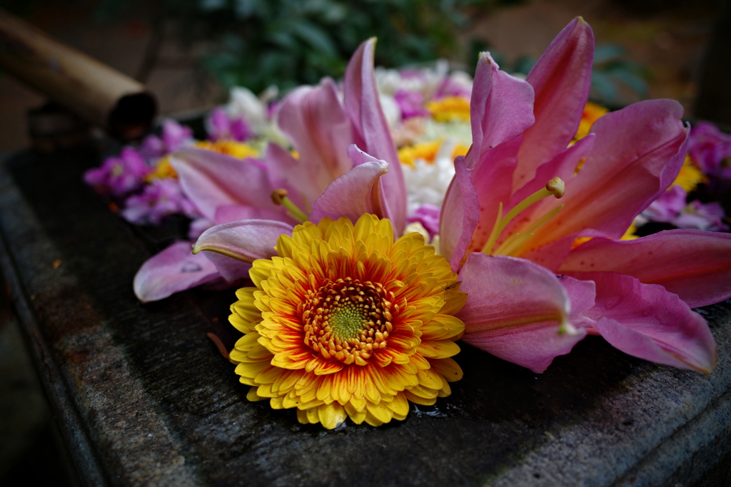 華黄色花