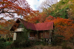 紅葉散歩②