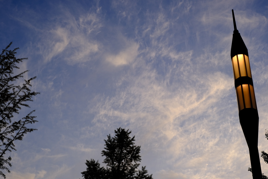 夕方