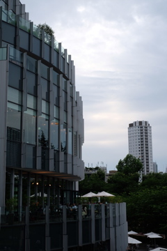 散歩③