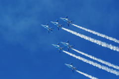やはり青空とよく似合う