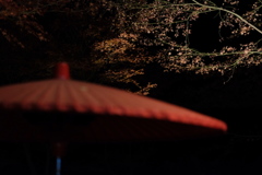 今日の紅葉⑥