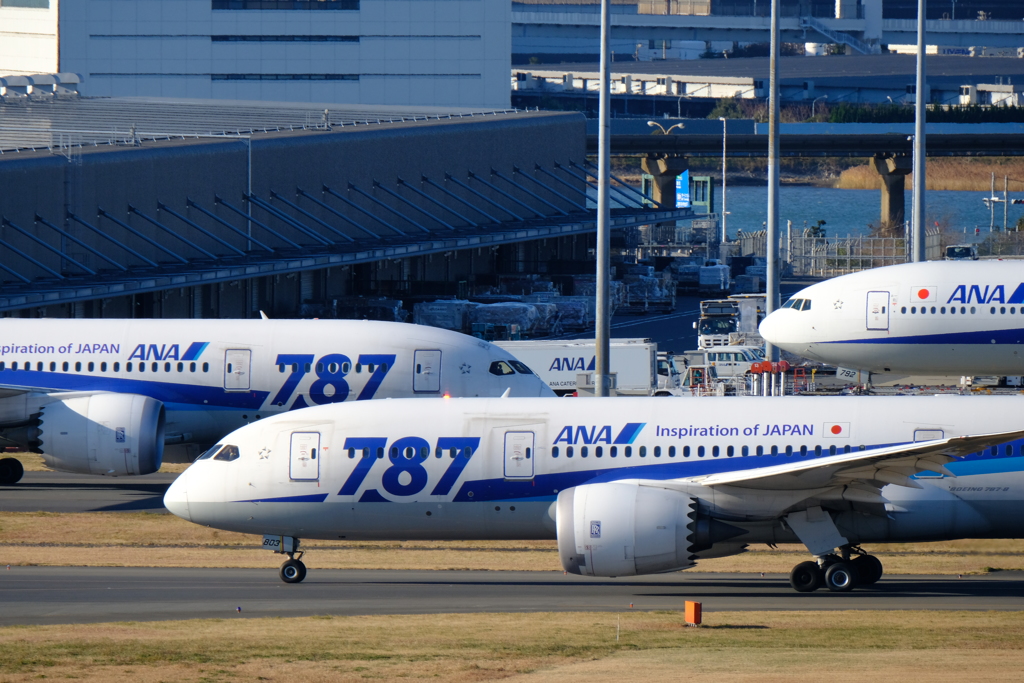 今日の飛行機⑥