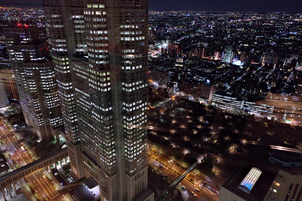 夜散歩