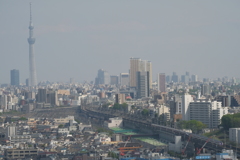 散歩③
