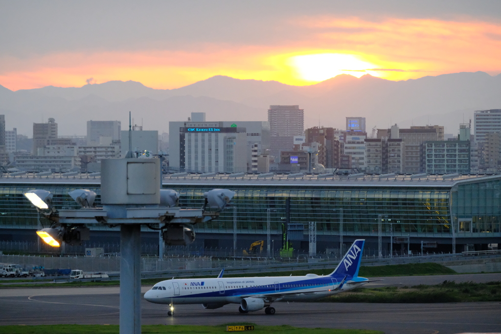 久しぶりの空港④