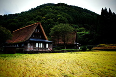 茅葺き屋根と稲作