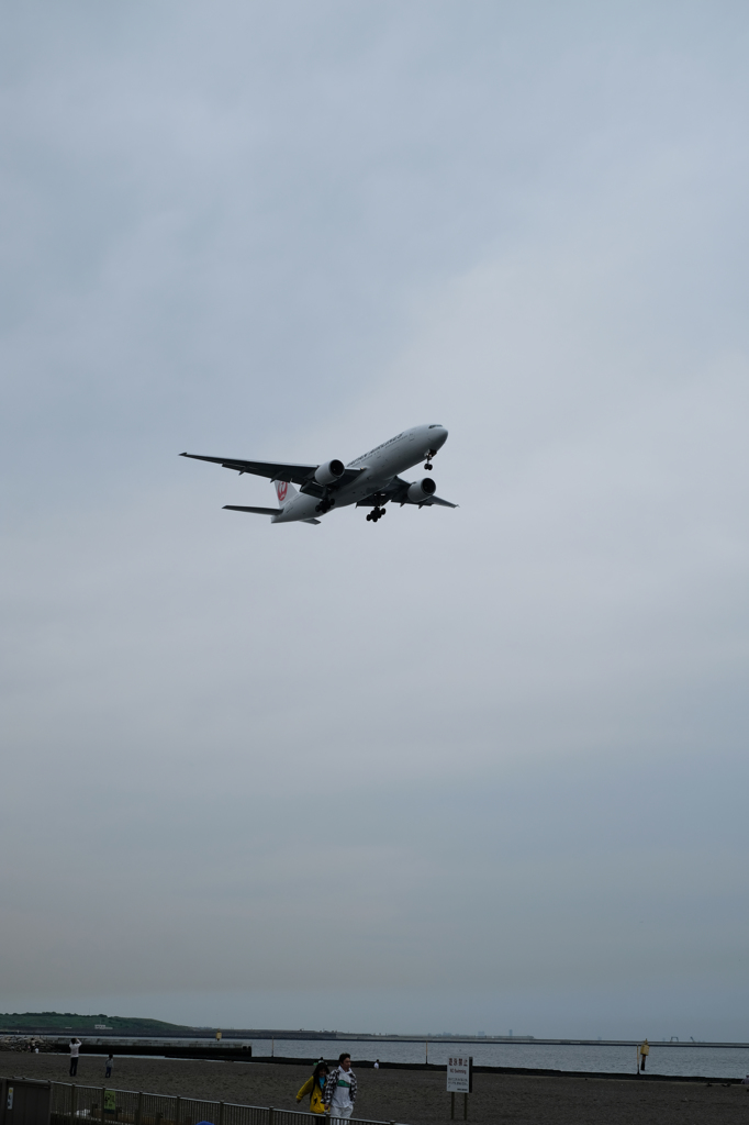 飛行機