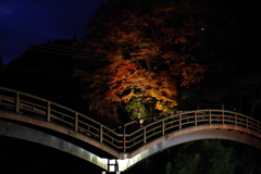 紅葉散歩①