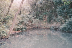 枯れ池