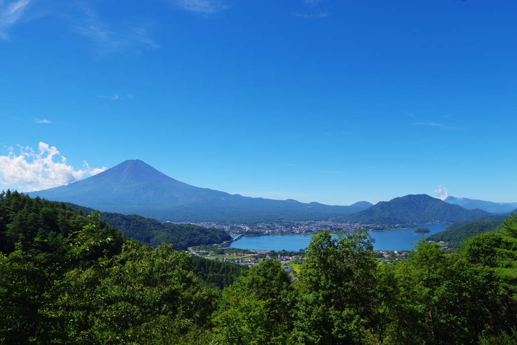 富士の夏