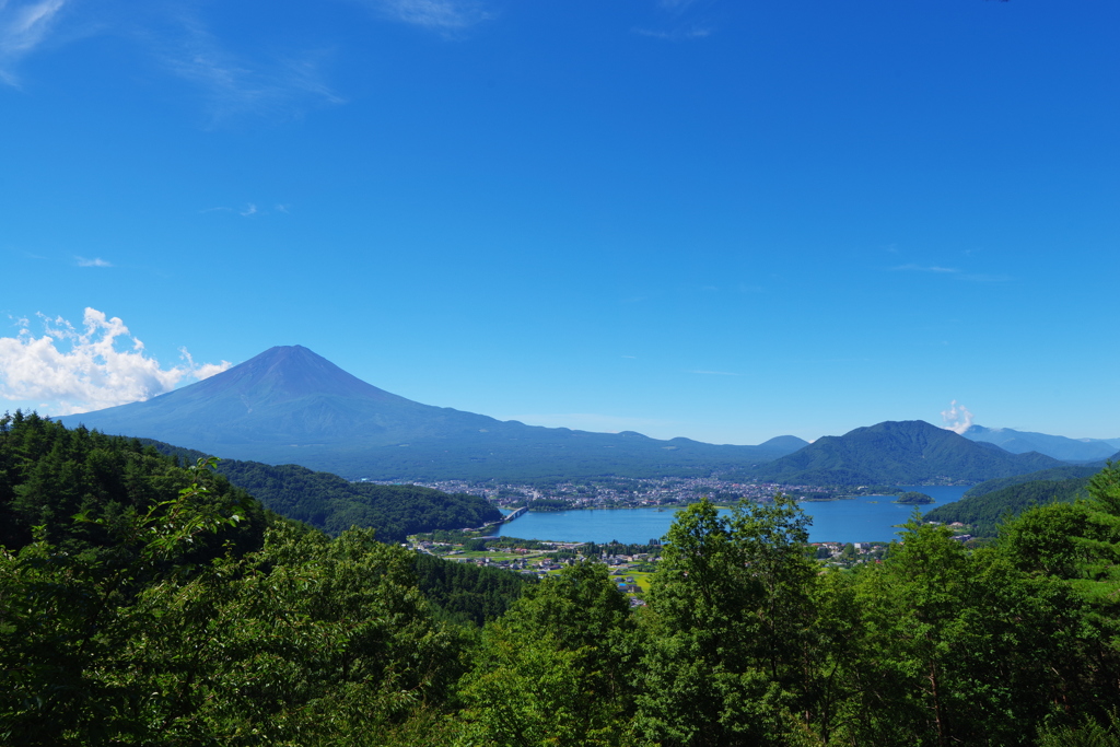 富士の夏