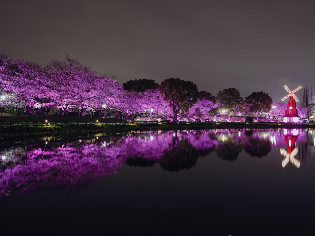 池から