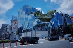 青々