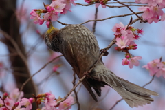 午前のひととき②