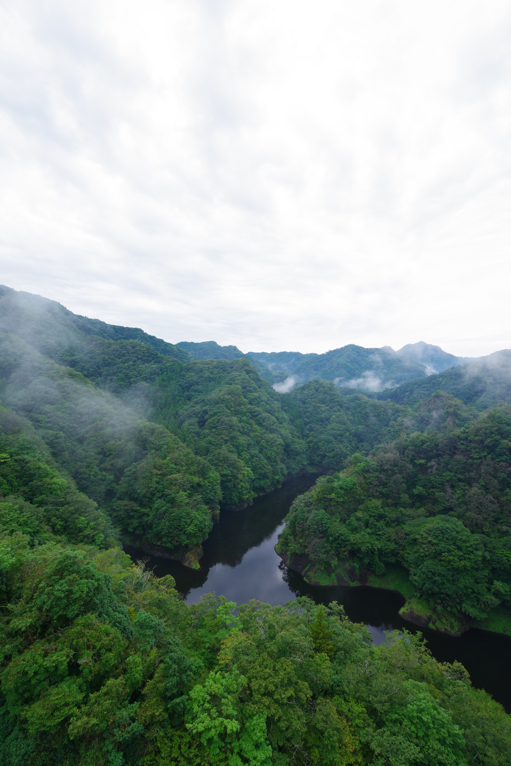 大吊橋の上から