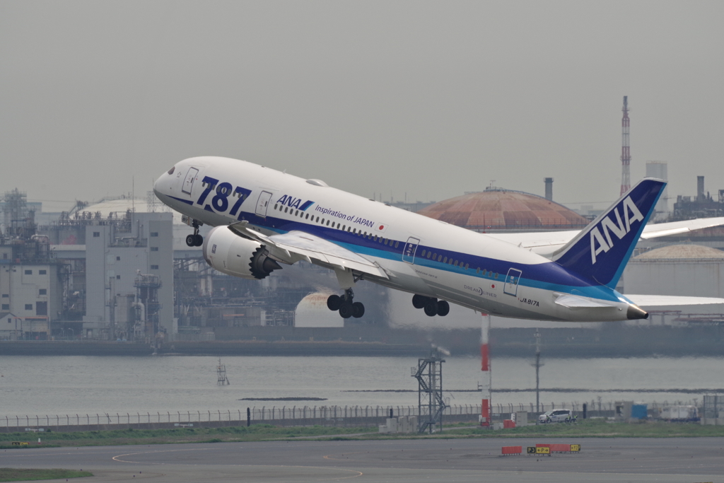 今日の飛行機②