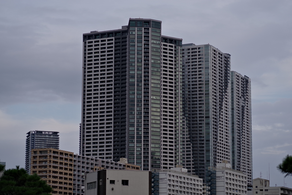 散歩②