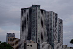 散歩②