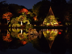 紅葉リフレクション