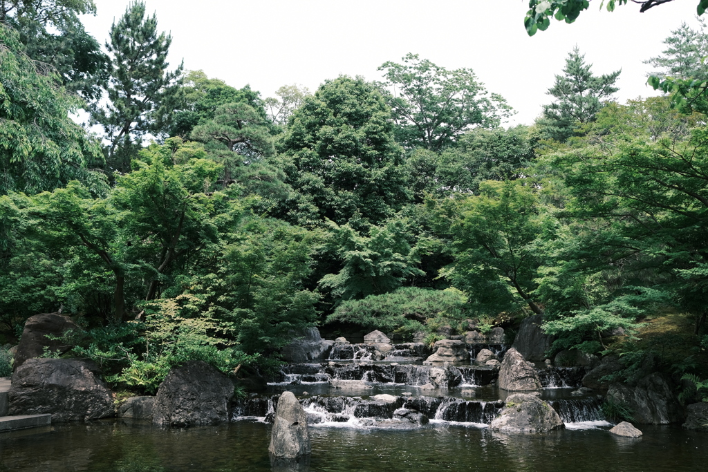 緑の中で涼む