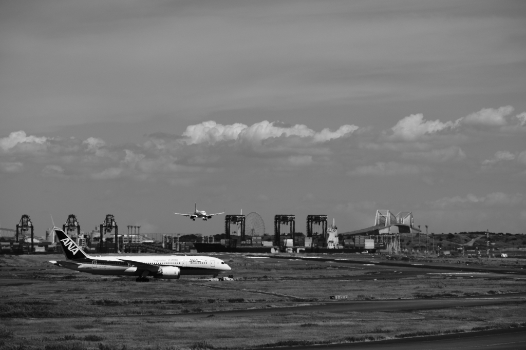 羽田空港飛行機