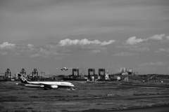 羽田空港飛行機