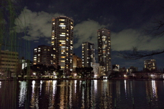 夜道の写んぽ