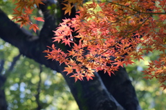 散歩