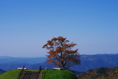 空と紅葉