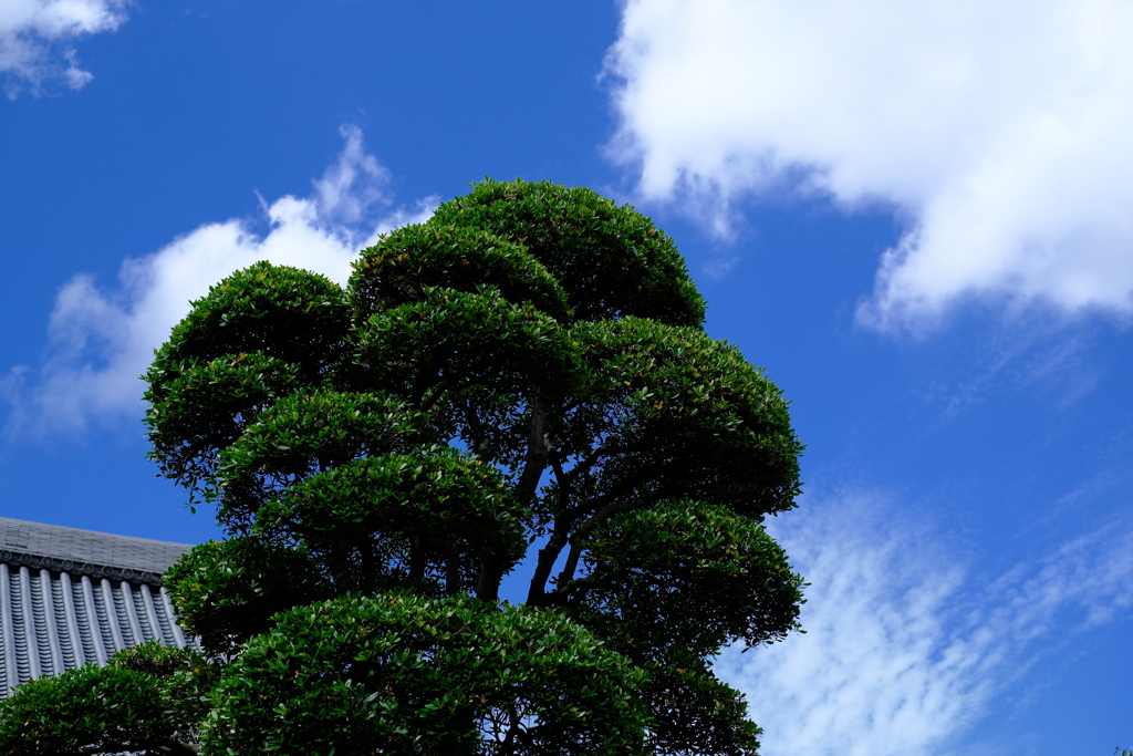 今日の空