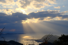 今日の夕陽
