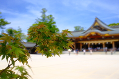 もう夏だなぁ