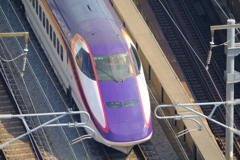 散歩④