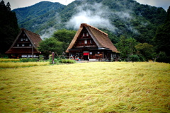 茅葺き屋根
