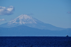 三浦半島から富士山