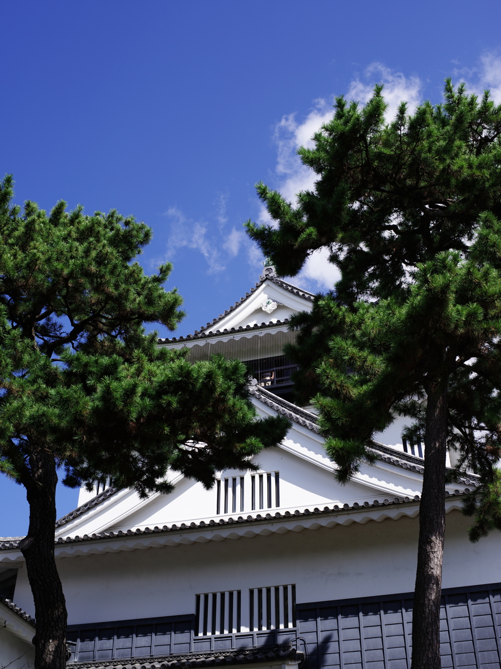 岡崎城
