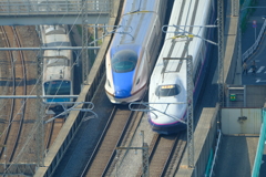 散歩①